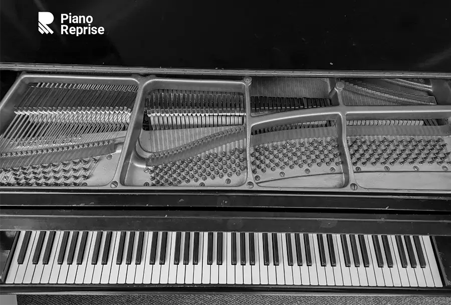 Chickering B Grand grand piano model