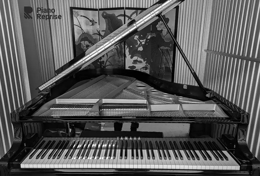 Yamaha C3 grand piano in a room